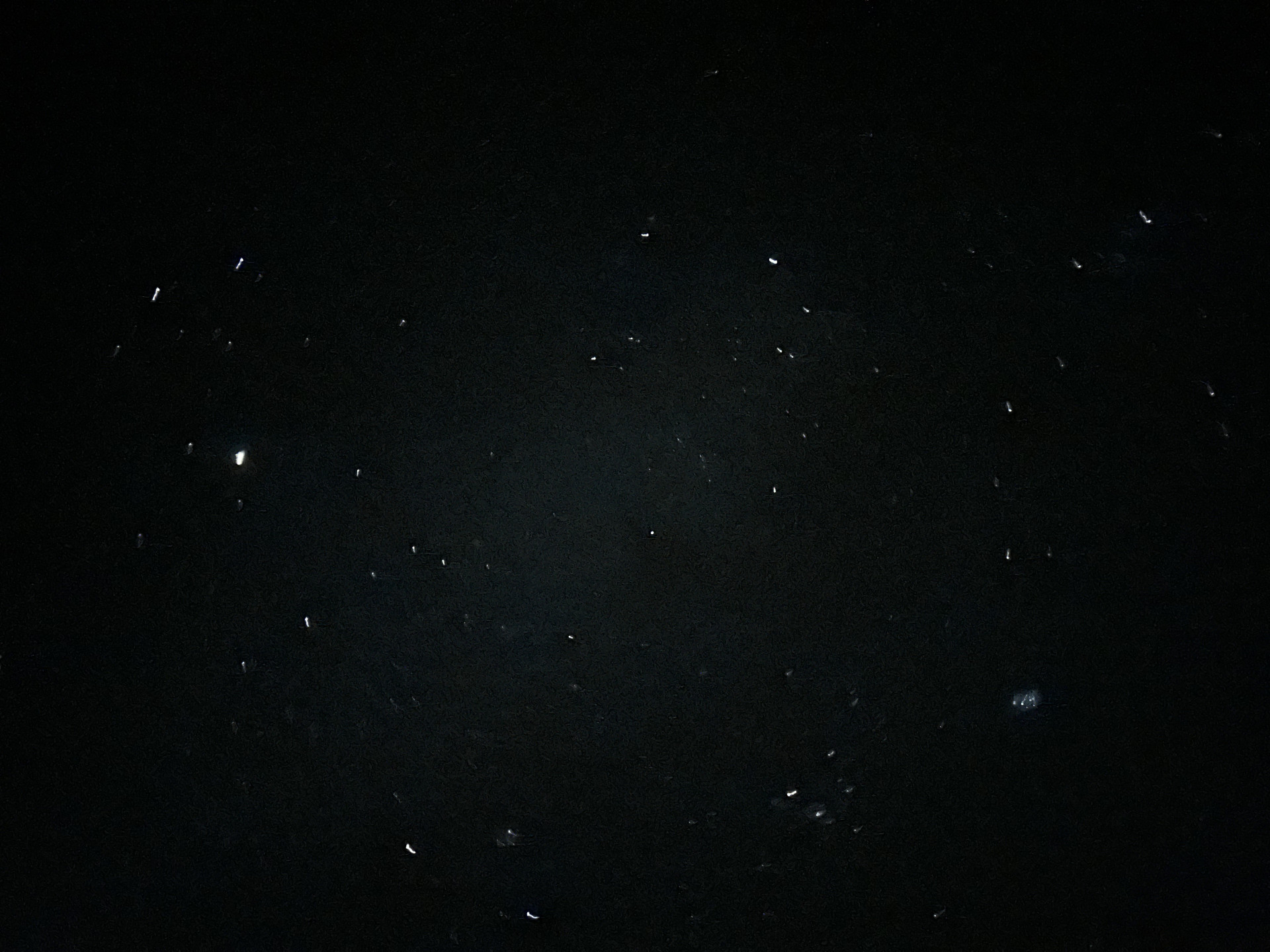 Image - 2026-02-12T084443.941